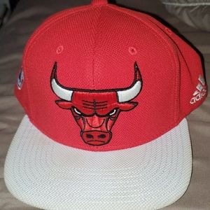 Bulls hat